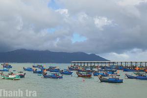 Cà Mau: Tập trung cao điểm chống khai thác IUU, chuẩn bị đón đoàn thanh tra EC lần 5