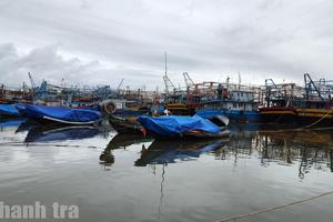 Quảng Trị: Chủ động triển khai ứng phó áp thấp nhiệt đới và mưa lớn