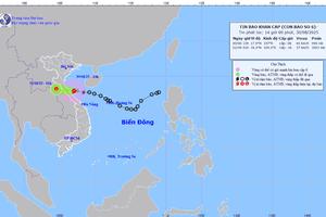 Thủ tướng Chính phủ chỉ đạo tập trung ứng phó bão số 6