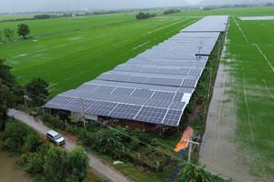 Điện nông: Lợi ích "kép" và rào cản thực tế