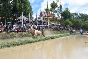 An Giang đón hơn 385.000 lượt khách dịp lễ 2/9, thu 511 tỷ đồng