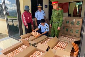 Tuyên Quang: Phát hiện, tiêu hủy hơn 10.000 quả trứng gà nhập lậu