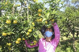 Nâng cao hiệu quả tín dụng chính sách xã hội trong giai đoạn mới