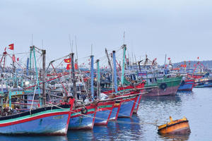 Hải Phòng quyết tâm gỡ “thẻ vàng” IUU