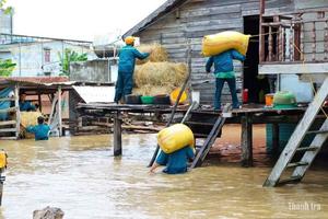 Gia Lai: Khẩn trương khắc phục hậu quả mưa lũ, đảm bảo ổn định đời sống Nhân dân