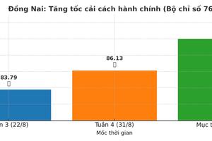 Đồng Nai siết kỷ luật hành chính: 11 xã, phường phải đạt ≥90 điểm Bộ chỉ số 766 trong tháng 9