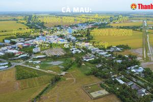 Cà Mau: Dự án hơn 119 tỷ đồng xây đường tránh chợ Vĩnh Hưng thi công ra sao?