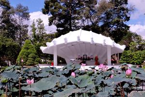 Đồng Tháp: Di tích Mộ cụ Phó bảng Nguyễn Sinh Sắc được xếp hạng di tích quốc gia đặc biệt