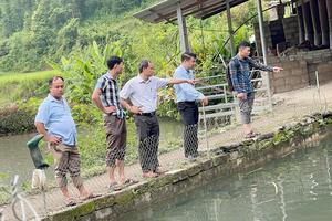 Mô hình nuôi cá Bống ở Phiêng Mường: Hướng đi mới trong giảm nghèo bền vững ở xã Quảng Lâm, Cao Bằng