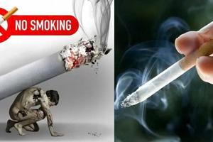 Gánh nặng kép về sức khoẻ và kinh tế từ việc sử dụng thuốc lá