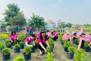 Ngăn chặn ô nhiễm, xây dựng đô thị văn minh: TP Hồ Chí Minh hành động quyết liệt