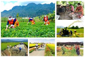 Thúc đẩy phát triển kinh tế - xã hội vùng đồng bào dân tộc thiểu số và miền núi giai đoạn 2026 - 2035