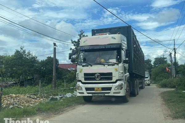 Quảng Trị: Người dân xã Phong Nha bất an vì hung thần xe keo tràm lộng hành trong đường làng