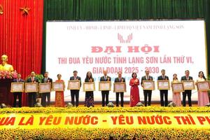 Toàn tỉnh Lạng Sơn có 283 tập thể, cá nhân được khen thưởng cấp Nhà nước