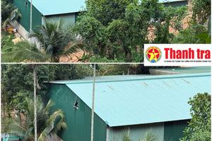 Chính quyền nỗ lực “hợp thức hóa” sai phạm, dân phải gánh rủi ro từ thực phẩm bẩn