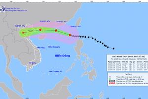 Siêu bão Ragasa di chuyển quá nhanh, từ đêm 24/9 sẽ ảnh hưởng nước ta