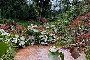 Quảng Ngãi: Sạt lở Tỉnh lộ 674 ách tắc nghiêm trọng