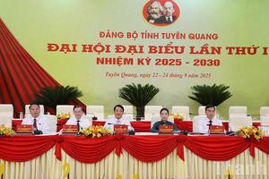 Tuyên Quang: Có trên 19.900 lượt ý kiến tham gia vào dự thảo văn kiện Đại hội đại biểu toàn quốc lần thứ XIV của Đảng