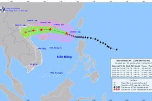 Nghệ An khẩn trương triển khai đồng bộ giải pháp ứng phó siêu bão Ragasa
