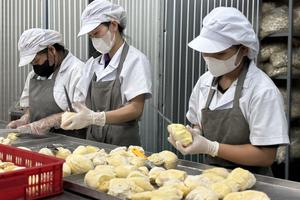 Đắk Lắk: "Vụ mùa vàng" sầu riêng khởi sắc, xuất khẩu đông lạnh bứt phá