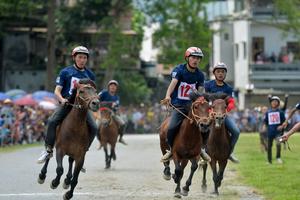 Thanh tra, kiểm tra việc kinh doanh đặt cược đua ngựa, đua chó và bóng đá quốc tế như thế nào?