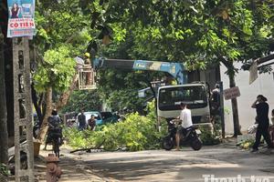 Thanh Hóa: Khẩn trương bảo vệ mùa màng, ngư dân và đê điều trước bão lớn