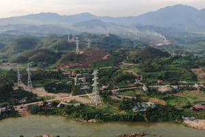 Công ty Cổ phần Thái Bình Dương bị phạt hơn 137 triệu đồng do phá rừng khi thi công đường dây 500kV