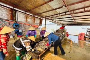 Ngân hàng Nhà nước nâng quy mô chương trình tín dụng đối với lĩnh vực nông, lâm, thủy sản lên mức 185.000 tỷ đồng