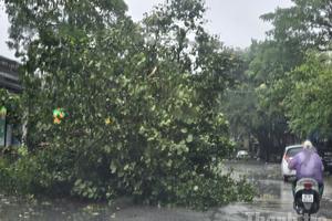 Thanh Hóa: Thiệt hại nặng nề, nhiều địa phương bị chia cắt do bão số 10