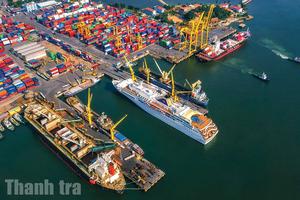 Hàng triệu USD thu được từ xuất khẩu thuỷ sản, rau quả