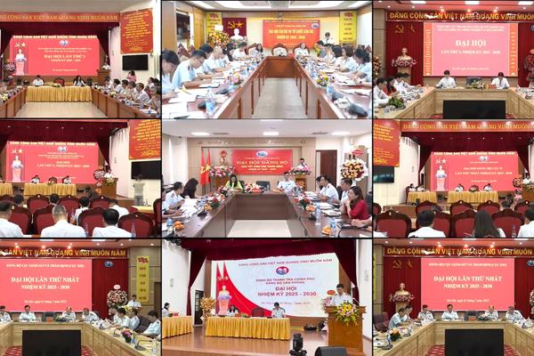 Nhìn lại chặng đường nhiệm kỳ 5 năm 2020-2025 của Đảng bộ Thanh tra Chính phủ