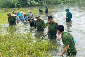 Tuyên Quang: Khẩn trương triển khai biện pháp đảm bảo an toàn cho người dân và tài sản
