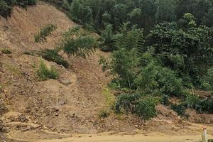 Thủ tướng yêu cầu: Khẩn trương khắc phục hậu quả mưa lũ tại Cao Bằng, Tuyên Quang, Lào Cai