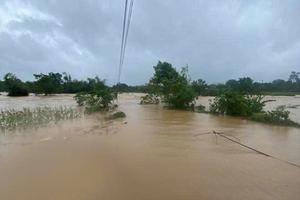 Nghệ An: Thiệt hại chồng chất sau bão số 10