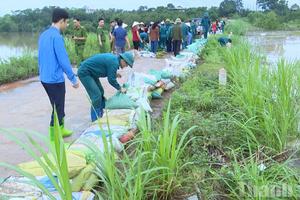 Thanh Hóa: Xử lý chống tràn đê bao Hon Sậu ở xã Thọ Lập