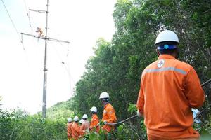 Thanh Hóa: Khắc phục sự cố điện và thiệt hại do bão số 10 ở xã Trung Hạ