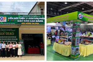 Thêm sinh kế, mở thị trường: Hướng đi mới cho giảm nghèo bền vững