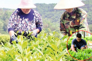 Lạng Sơn tăng tốc giảm nghèo, nỗ lực để ‘không ai bị bỏ lại phía sau’