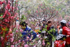 Đề xuất phương án nghỉ 9 ngày dịp Tết Nguyên đán 2026