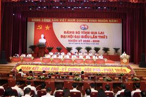 Phiên trù bị Đại hội Đảng bộ tỉnh Gia Lai nhiệm kỳ 2025-2030: Hướng về đồng bào bị bão số 10
