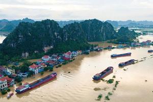 Ninh Bình: Tăng cường kiểm tra, tuần tra, canh gác bảo vệ đê điều trong mùa mưa lũ