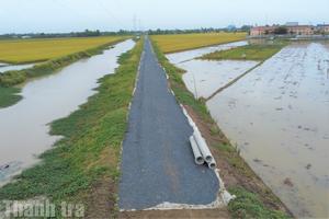 Cà Mau: Từ ngày 5/10/2025, các dự án do xã làm chủ đầu tư sẽ do UBND xã thẩm định