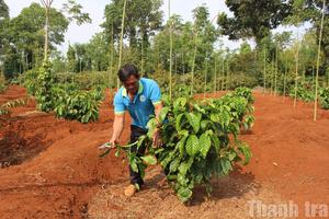Đắk Lắk quyết tâm “không đánh đổi môi trường lấy tăng trưởng kinh tế”