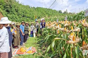 Thái Nguyên: Điểm sáng giảm nghèo bền vững