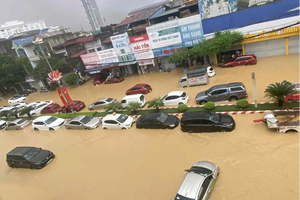 Bảo hiểm Bảo Việt khẩn trương ứng trực 24/7, bảo vệ khách hàng và hỗ trợ đồng bào vùng thiên tai