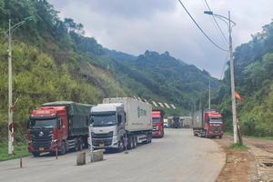 Lạng Sơn: Các dự án thuộc Đề án thí điểm xây dựng cửa khẩu thông minh thi công chậm, chưa đáp ứng yêu cầu