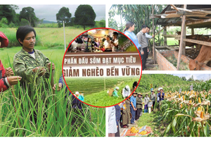 Từ đói nghèo đến điểm sáng toàn cầu: Kiên định mục tiêu 'không ai bị bỏ lại phía sau'