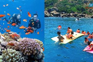 Tận hưởng những khoảnh khắc yên ả, tuyệt đẹp với Quy Nhơn