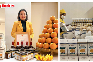 Biến trái cam thành cơ hội giảm nghèo bền vững