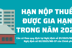 Hạn nộp thuế được gia hạn trong năm 2025 như thế nào?
